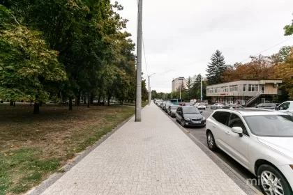 bd. Cuza Vodă, Botanica, Chișinău imaginea 235936