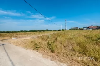 str. Ion si Doina Aldea-Teodorovici imaginea 228893