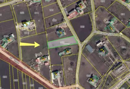 s. Cruzești, mun. Chișinău imaginea 238286