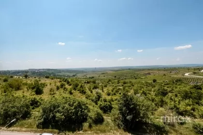 str. Ialoveni, Telecentru, mun. Chișinău image 225243