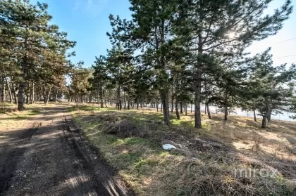 s. Peresecina, Orhei, mun. Chișinău image 210546