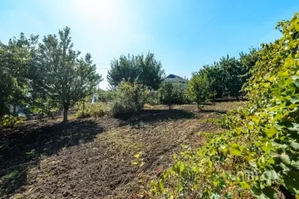 s. Trușeni, mun. Chișinău imaginea 235985