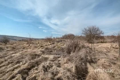 s. Peresecina, Orhei, mun. Chișinău image 210336