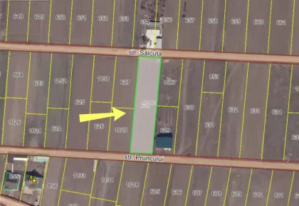 str. Pruncului, Băcioi, Chișinău imaginea 239703