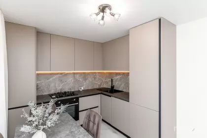 ул. Орхей, Сынжера изображение 240897