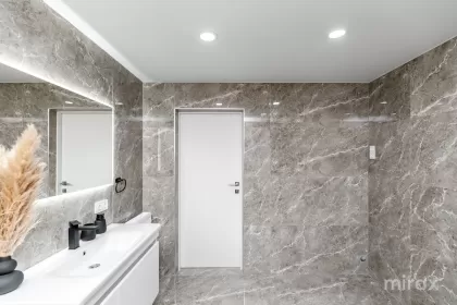 ул. Орхей, Сынжера изображение 240907