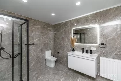 ул. Орхей, Сынжера изображение 240905