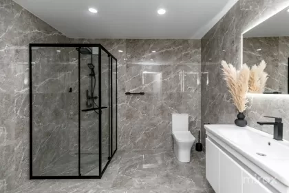 ул. Орхей, Сынжера изображение 240906