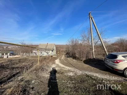 I.P Livada-Vis, Ialoveni, Chișinău image 141768