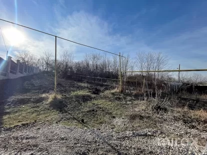 I.P Livada-Vis, Ialoveni, Chișinău image 141770