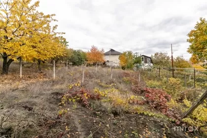 с. Пересечина, Орхей изображение 237188