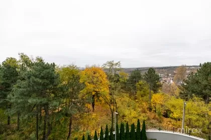 ул. Валя Кручий, Ботаника, Кишинев изображение 238435