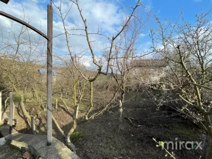 IP Valea Fermecată, s. Hrușova image 83420