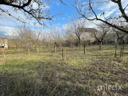 IP Valea Fermecată, s. Hrușova image 83421