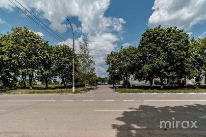 str. P. Ungureanu, Ungheni, Chișinău image 102201