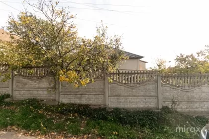 с. Балцата, Криулень, Кишинев изображение 192378
