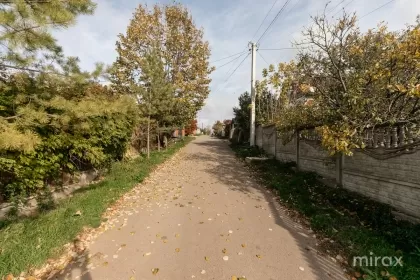 с. Балцата, Криулень, Кишинев изображение 192389