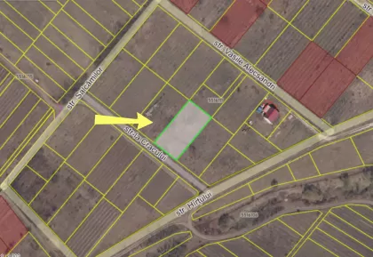 с. Дэнчень, Яловены, Молдова изображение 238471