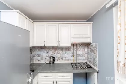 ул. Буребиста, Ботаника, Кишинев изображение 239815