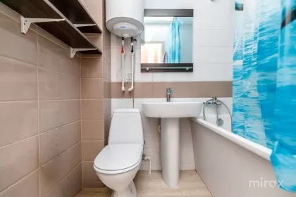 ул. Буребиста, Ботаника, Кишинев изображение 239819