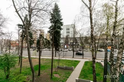 bd. Decebal, Botanica, mun. Chișinău imaginea 215227