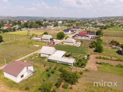 Țânțăreni, Anenii Noi , Chișinău image 225404
