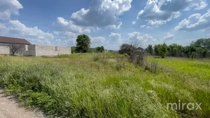 Țânțăreni, Anenii Noi , Chișinău image 225407