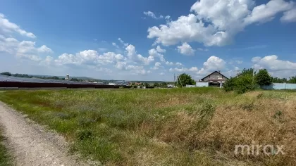 Țânțăreni, Anenii Noi , Chișinău image 225409