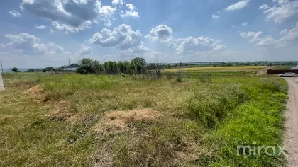 Țânțăreni, Anenii Noi , Chișinău image 225410