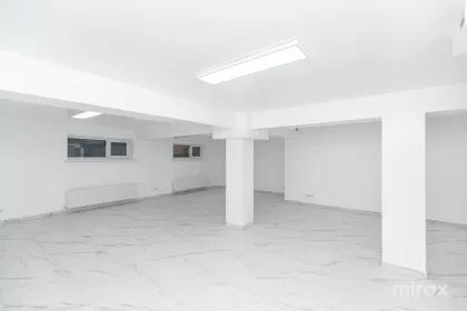 ул. Александру чел Бун, Центр, Кишинев изображение 239853