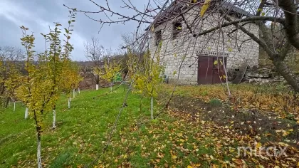 IP Ivancea, Orhei, Chișinău image 194156