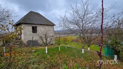 IP Ivancea, Orhei, Chișinău image 194164