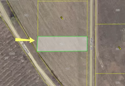 s. Floreni, Anenii Noi image 236206