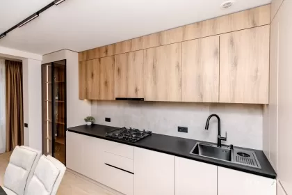 bd. Mircea cel Bătrân, Ciocana imaginea 239911