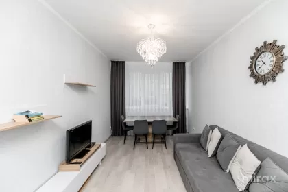 ул. Пиктор Михай Греку, Центр изображение 239934