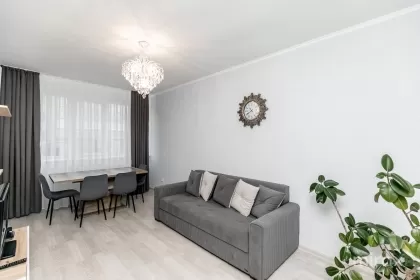 ул. Пиктор Михай Греку, Центр изображение 239933