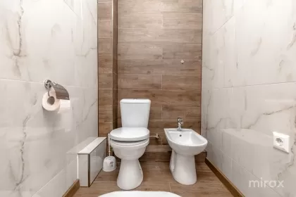 ул. Пиктор Михай Греку, Центр изображение 239943