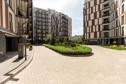 str. Pan Halippa, Centru, Chișinău image 172335