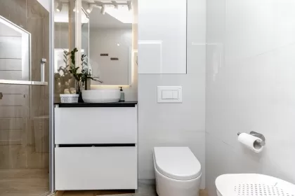 ул. Мирон Костин, Рышкань, Кишинев изображение 238611