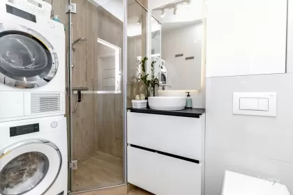 ул. Мирон Костин, Рышкань, Кишинев изображение 238610