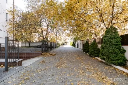 str. Mihail Berezovschi, Telecentru image 237423