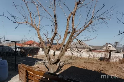 str. Ștefan cel Mare, Cricova, mun. Chișinău image 213911