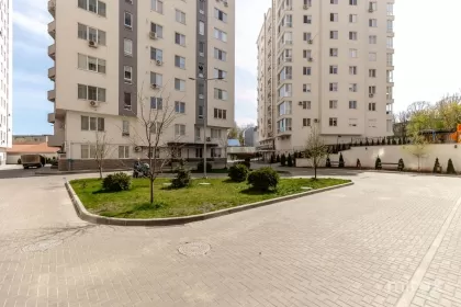 str. Tudor Strișcă, Botanica, mun. Chișinău image 216579
