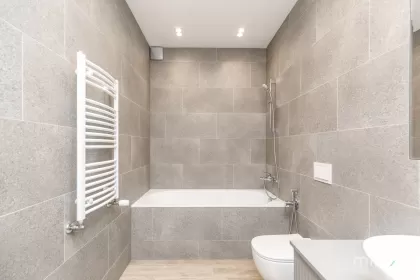 ул. Александру чел Бун, Центр изображение 235094