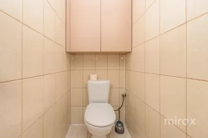 ул. Ливиу Деляну, Буюканы, Кишинев изображение 232240