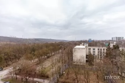 ул. Николае Димо, Рышкань, Кишинев изображение 148166