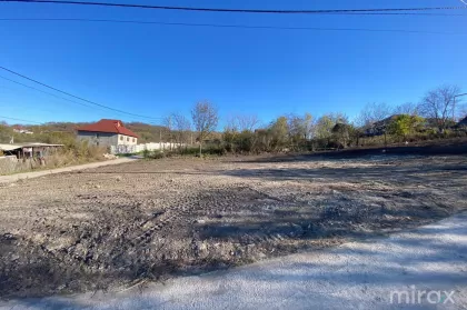 s. Drăsliceni, Criuleni, Moldova image 201566