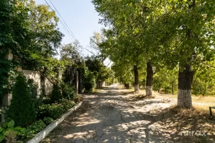 str. Toma Ciorba, Ialoveni, mun. Chișinău imaginea 234045