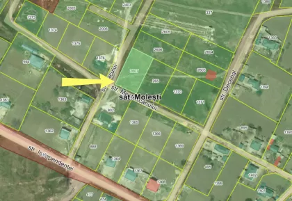 s. Molești, Ialoveni, mun. Chișinău image 211145