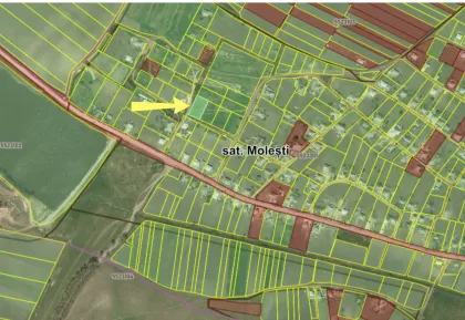 s. Molești, Ialoveni, mun. Chișinău image 211146
